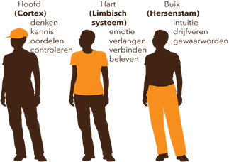 Drie Breinen, Bepper Balance Methode